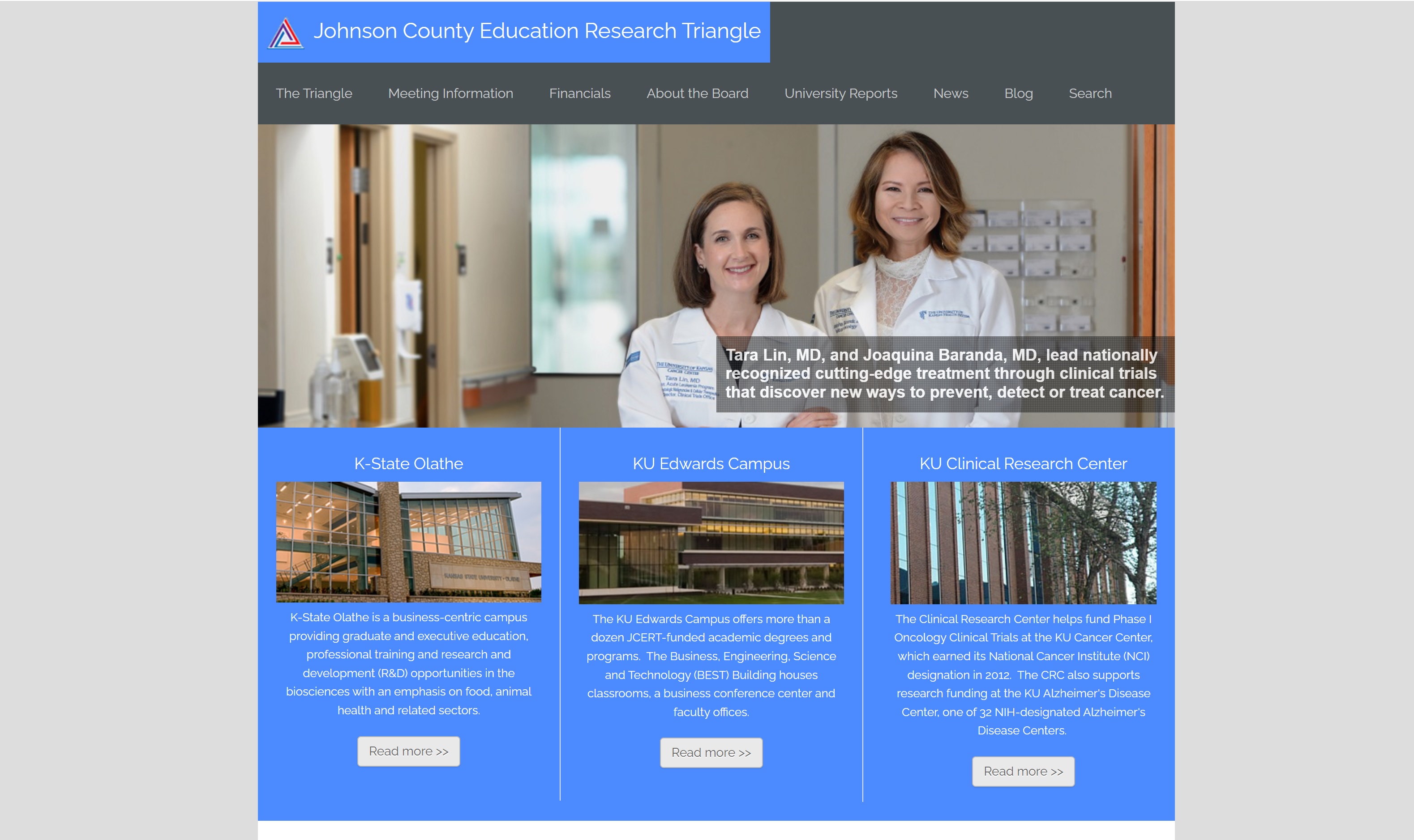 screen shot of Jo Co Triangle website